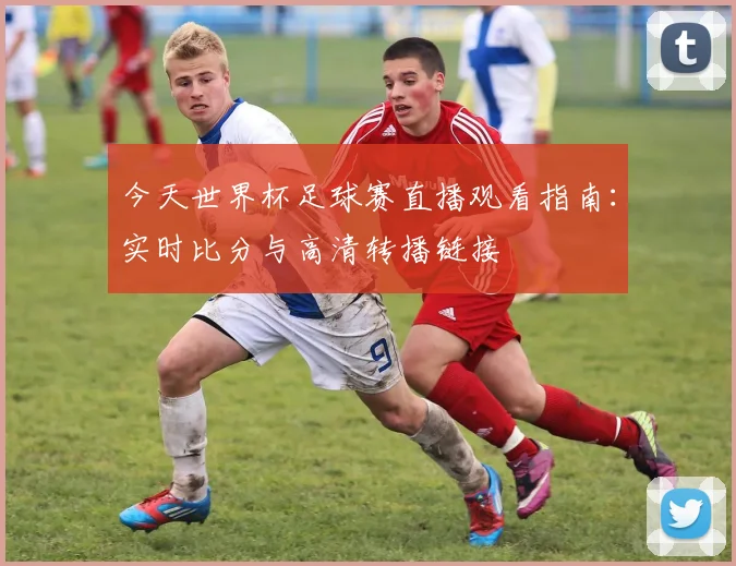 今天世界杯足球赛直播观看指南：实时比分与高清转播链接